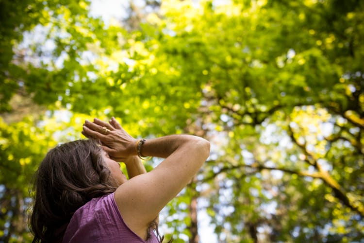 NATURE, FOREST BATHING & THE ART OF RASAYANA AS WISE HORMONAL SUPPORT