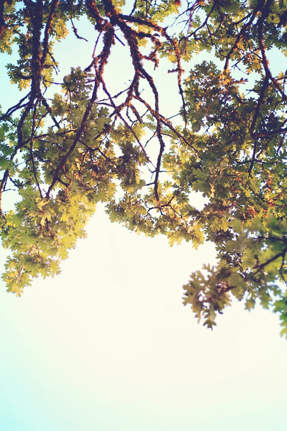 Pumping My Heart November: 5 moments of Beauty capturing my Heart Right Now