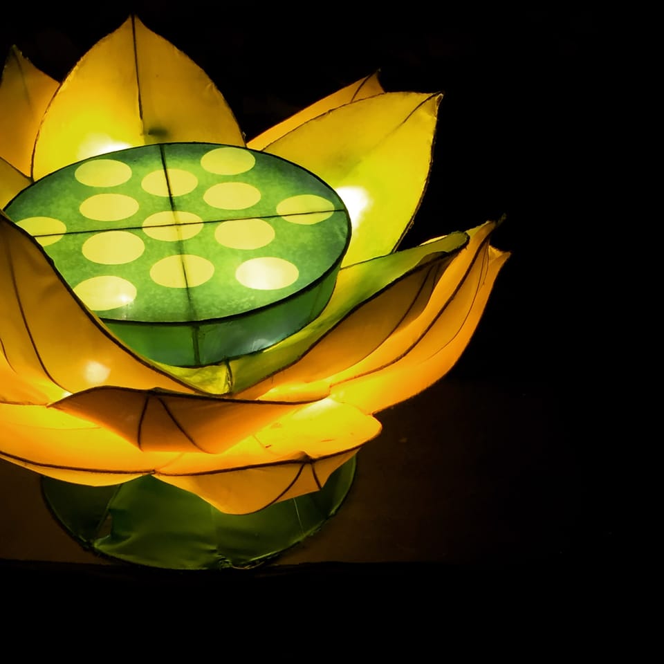 Pumping My Heart, January 2026: 5 Moments of Beauty Capturing My Heart Right Now