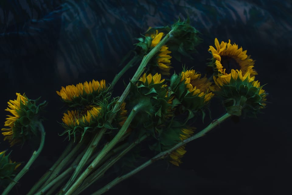 Breath for Calm & Ease