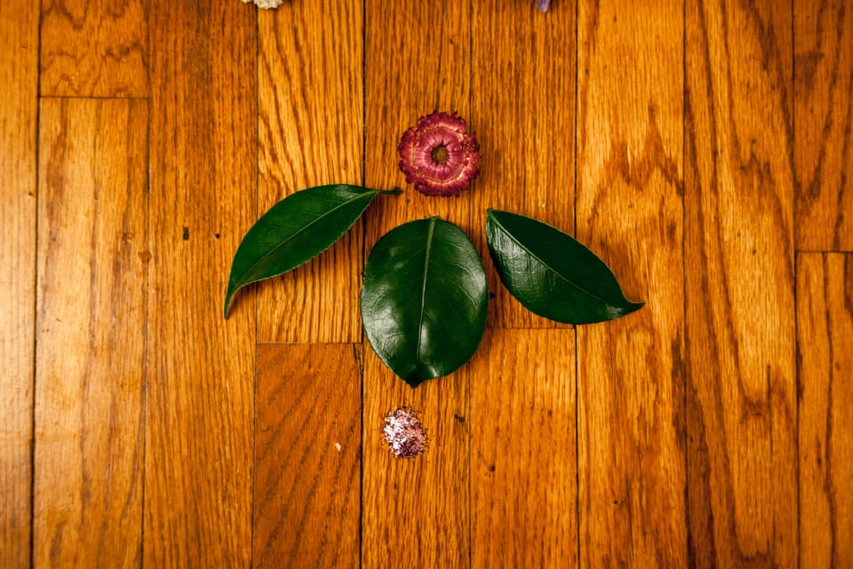 Welcome, February 2026